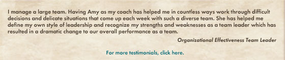testimonial corporate coaching: amy ruppert