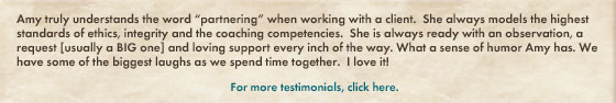 mentor coaching with Amy Ruppert, MCC